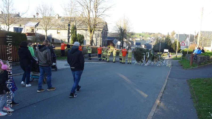 Der Maibaum wird aufgestellt